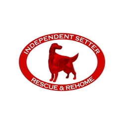 Independent Setter Rescue & Rehome eCards