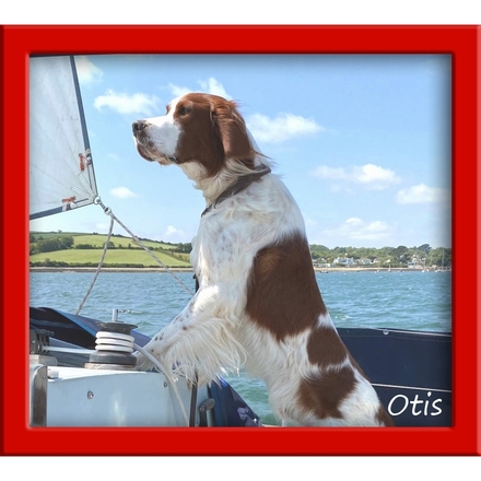 Send a Father's Day E-Card eCards