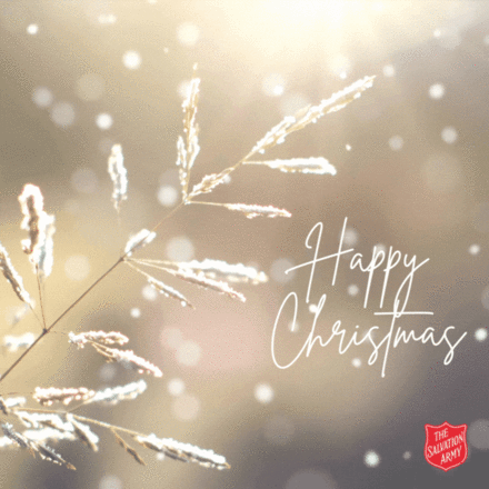 Christmas e-cards 2026 eCards
