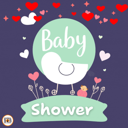 Baby Shower eCards