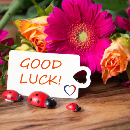 Send Good Luck wishes eCards