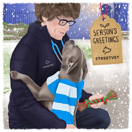 Send StreetVet's Christmas e-cards to your friends and family eCards