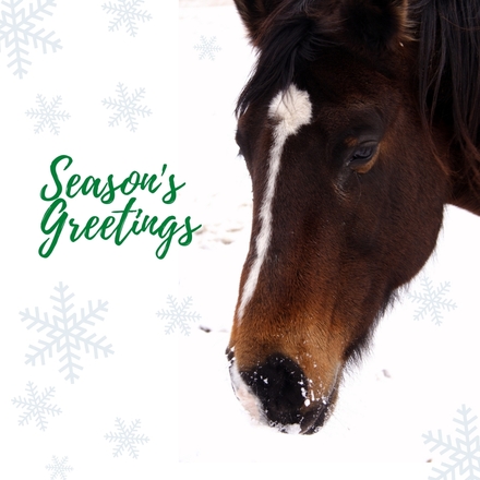 Send Corporate Christmas E-Cards eCards