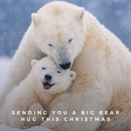 Send Christmas E-Cards eCards
