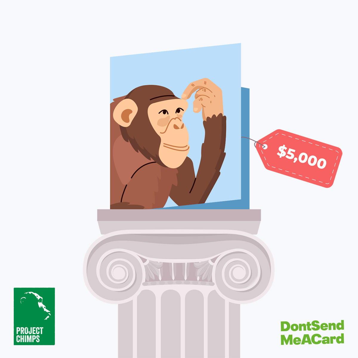 DontSendMeACard and Project Chimps $5,000 ecard