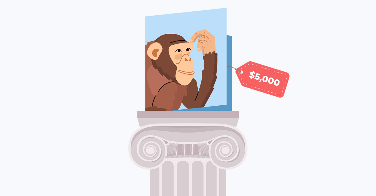 DontSendMeACard and Project Chimps $5,000 ecard
