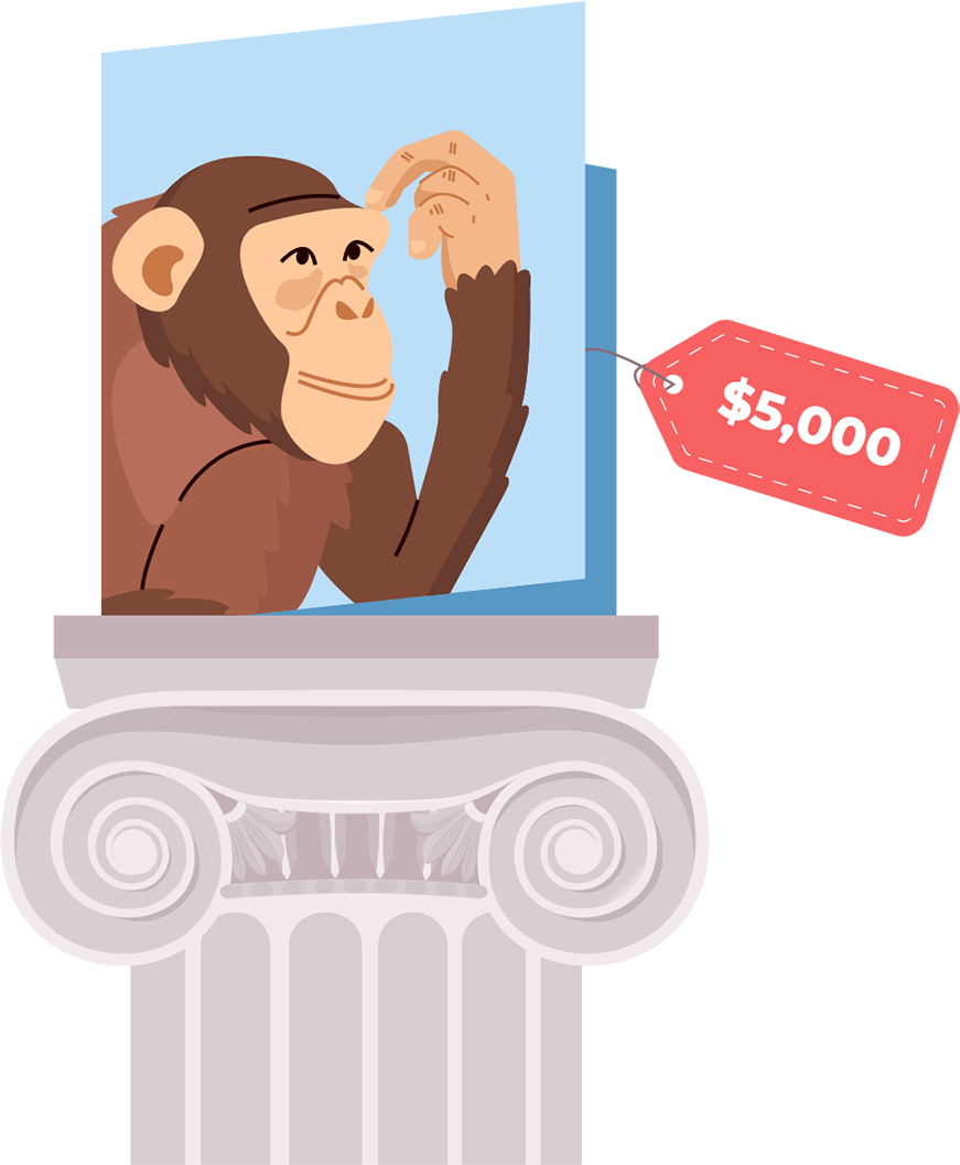 DontSendMeACard and Project Chimps $5,000 ecard